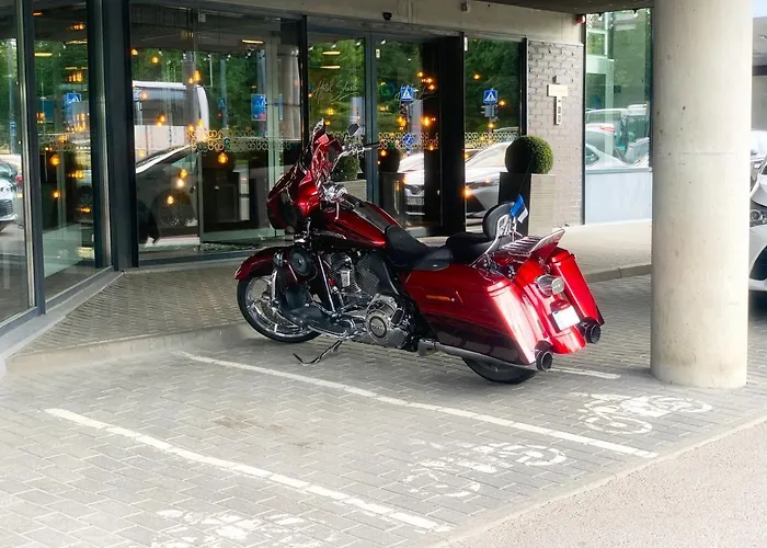 ゴー シュネリ タリン