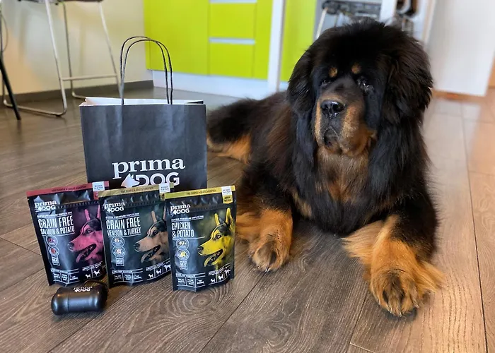 歇奈里go酒店 塔林